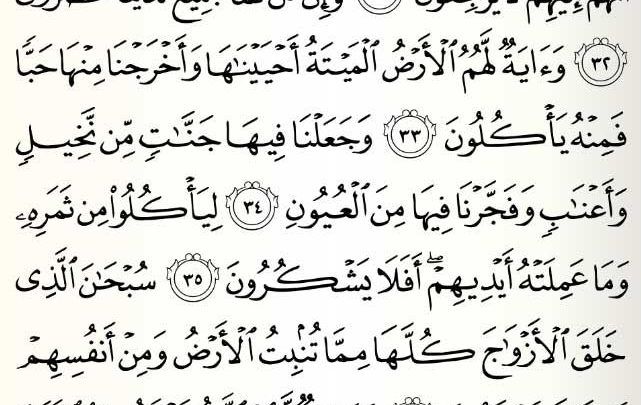 Surat Yasin, Simak Lengkap Berikut Ini!