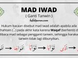 contoh mad iwad